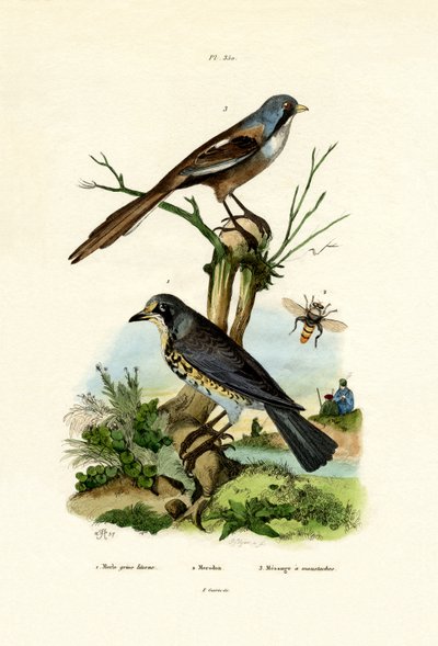 Markfart, 1833-39 af French School