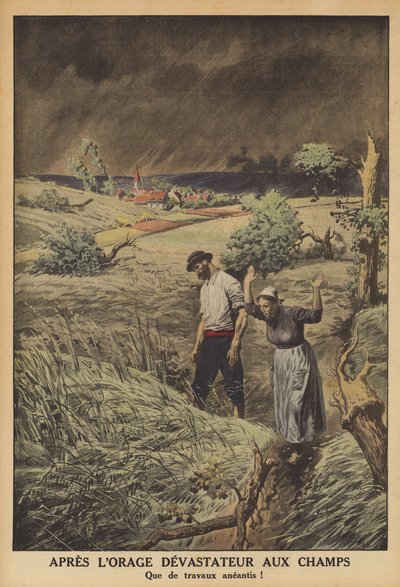 Marker ødelagt af et tordenvejr i Frankrig (farve litho) af French School