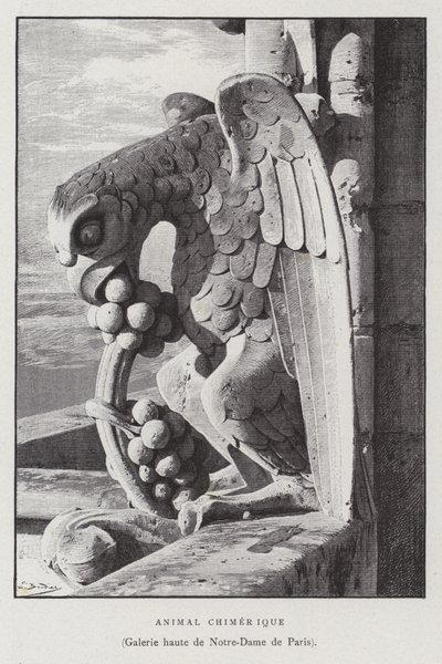 Figur af et kimærisk dyr, fra det øverste galleri i Notre Dame de Paris (litho) af French School