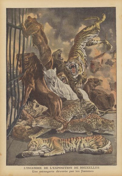 Brand ved den internationale udstilling i Bruxelles i 1910 (farve litho) af French School