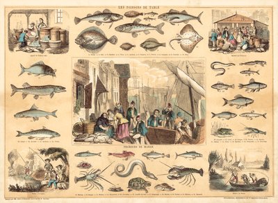Fisk (farve litho) af French School