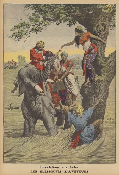 Oversvømmelser i Indien (farve litho) af French School