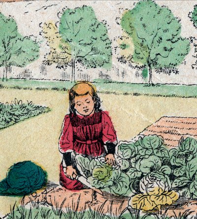 Fransk tro: En lille pige, der tror, at babyer er født i kål eller roser, skærer spirerne af en køkkenhave - Epinalbillede - 1800-tallet (gravering) af French School