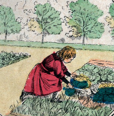 Fransk tro: En lille pige, der tror, at babyer er født i kål eller roser, skærer spirerne af en køkkenhave - Epinalbillede - 1800-tallet (gravering) af French School