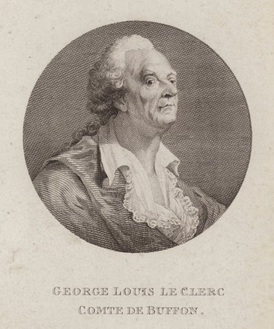 Georges-Louis Leclerc, Comte de Buffon, fransk naturforsker (gravering) af French School