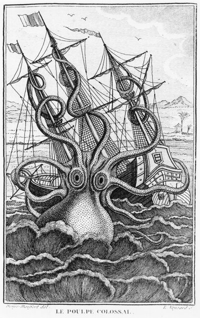 Giant Octopus, illustration fra General and Particular Natural History of Molluscs af Denys-Montfort, ca. 1802-03 af French School
