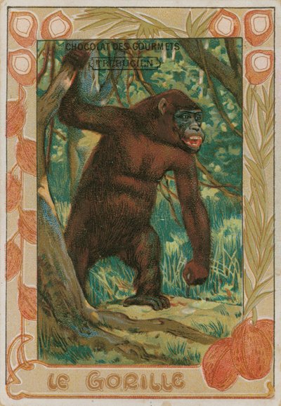 Gorilla af French School