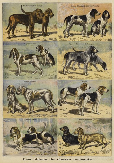 Pistolhunde af French School