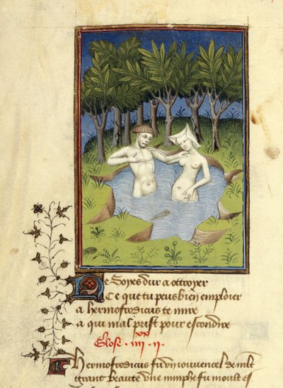Harley MS 4431, f.132v, Miniature af Hermaphroditus og nymfen Salmacis badende i en sø, fra 