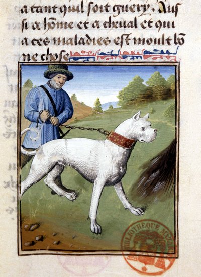 Jagthund holdt i snor - i "" Jagtbog af Gaston Phoebus, greve af Foix, Lord of Béarn"" af French School
