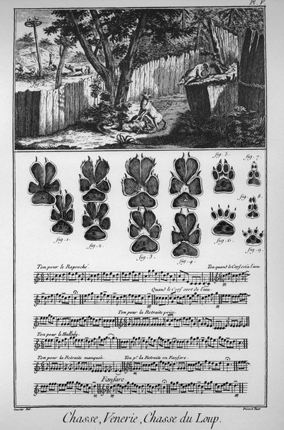 Jagt ulven (forskellige måder eller fælder at fange ulvene på) - "" Den Store Encyclopedie, eller Dictionnaire Raisonne des Sciences, des Arts et des Metiers"" (Encyclopedia or Dictionary of the Sciences, Arts and Professions) af Denis Diderot (1713) -1784 af French School