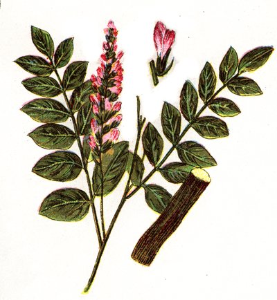 Illustration til "Mon docteur - traite de medecine et d