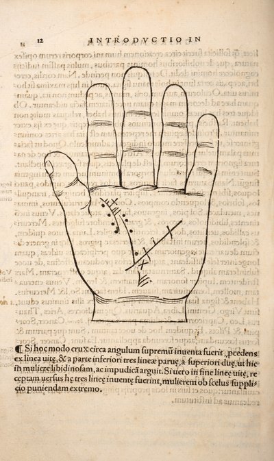 Illustration fra Chiromantia af Joannes Indagioe, Strasbourg, 1531 (tryk og gravering) af French School