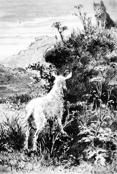 Illustration fra Mr. Seguins Goat af Alphonse Daudet af French School