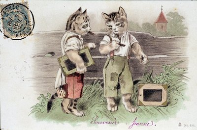 Illustration af katte i situation - postkort tidligt i det 20. århundrede. af French School