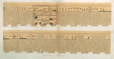 Illustrationer af et Pampus-manuskript med hieroglyffer, Hypogees, Theben, plade 75 fra bind II af `Descriptions of Egypt`, indgraveret af Willemin, pub. 1822 (akvatint) af French School