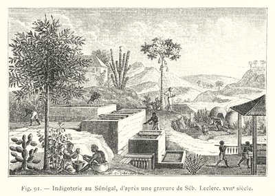 Indigoterie i Senegal, efter en gravering af Seb, Leclerc, 1600-tallet (gravering) af French School