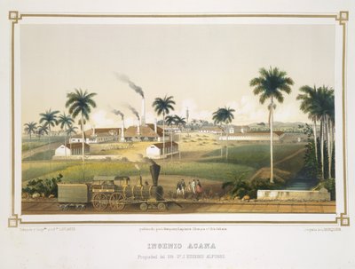 Acanas karakter af French School