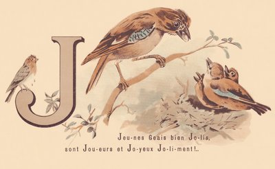 J: Young Jays Pretty er spillere og glad Jolily! af French School