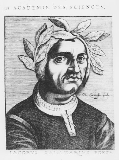 Jacopo Sannazaro (gravering) af French School