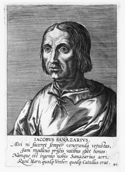 Jacopo Sannazaro (gravering) af French School