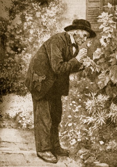 Jean-Henri Fabre observerer insekter af French School