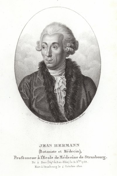 Jean Hermann af French School