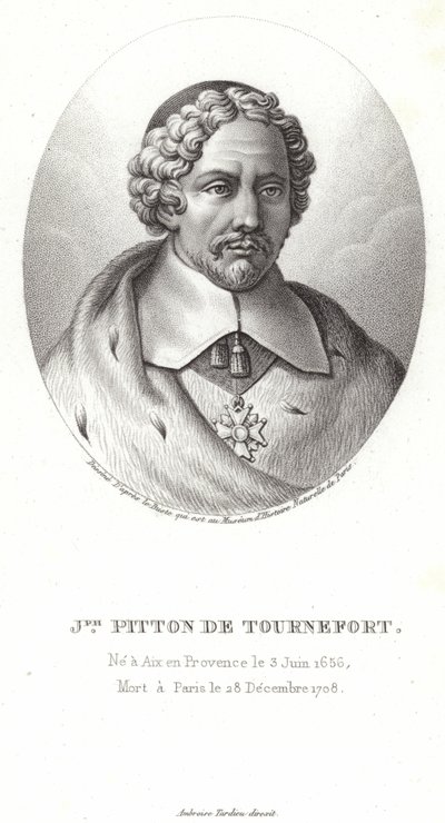 Joseph Pitton de Tournefort af French School