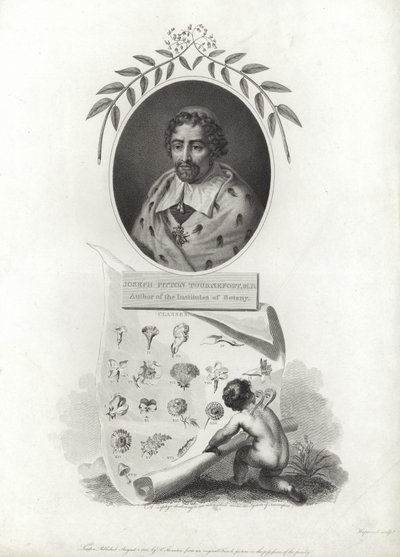 Joseph Pitton de Tournefort af French School