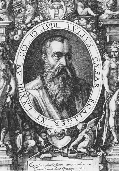Julius Caesar Scaliger (gravering) af French School