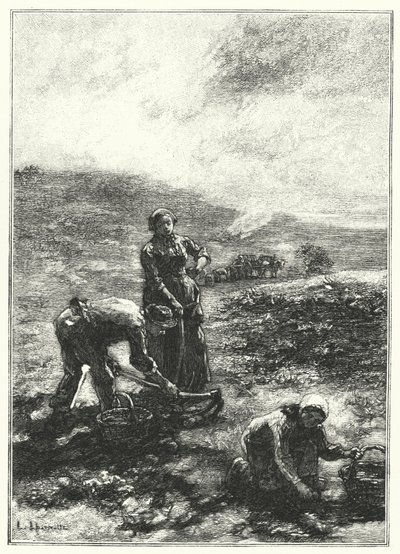 Kartoffelhøsten (gravering) af French School