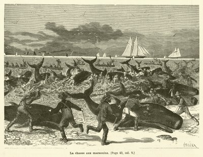Marsvinjagten (gravering) af French School