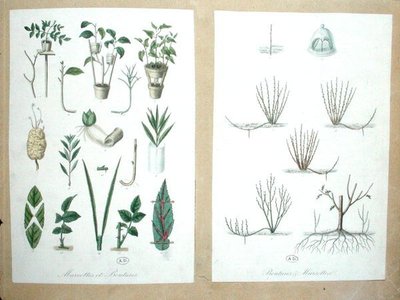 Lag og udskæringer (farvegravering) af French School