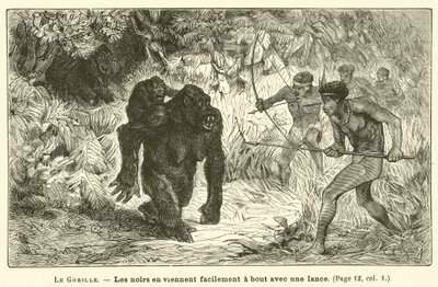 Gorillaen (gravering) af French School
