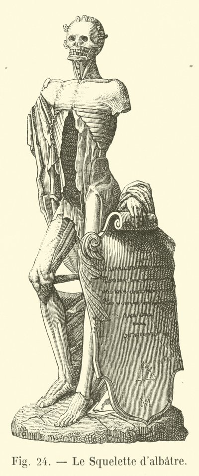 Alabastskelettet af French School