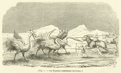 Pygmæerne, der kæmper mod tranerne (gravering) af French School