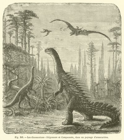 Dinosaurerne, Stegosaurus og Compsonote, i et landskab af Araucaria (gravering) af French School
