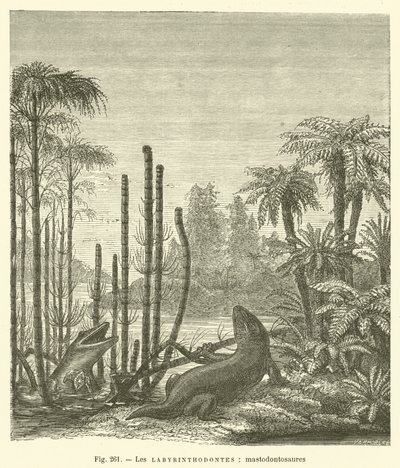Les labyrinthodontes, mastodontosaures (gravering) af French School