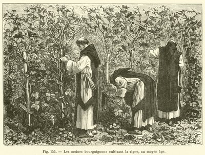 Burgundiske munke, der dyrker vinstokke, i middelalderen (gravering) af French School