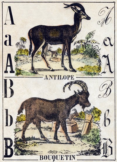 Bogstav A Antilope; B Ibex. Indgravering i "" Alphabet des animaux sauvages "". 9. serie. Billede af Epinal, Pellerin, trykkeri-udgiver, ca. 1870. Graveringer på træ, stencileret. 16 sider. Mål: 20 x 15 cm. Privat samling af French School