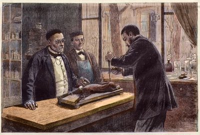 Louis Pasteur (1822-1895), fransk kemiker og mikrobiolog, der eksperimenterer på en chloroformet kanin under sin søgen efter en kur mod rabies. af French School