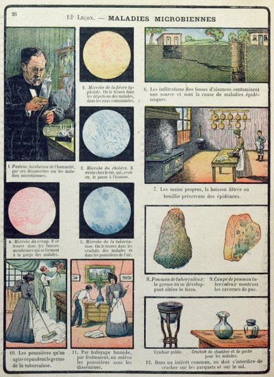 Louis Pasteur (1822-95) og bakterielle sygdomme, fra Les Sciences Physiques et Naturelles, Paris, 1908 af French School