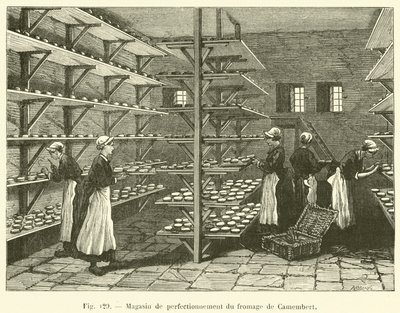Camembert ostforbedringsbutik (gravering) af French School