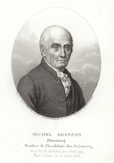 Michel Adanson af French School