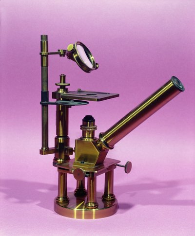 Mikroskop tilhørende Louis Pasteur (1811-95) (metal) af French School