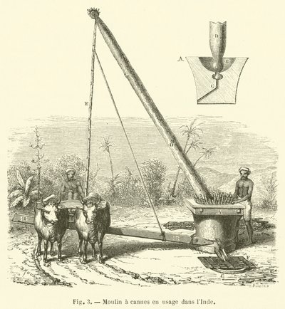 Rørrørsmølle i brug i Indien (gravering) af French School