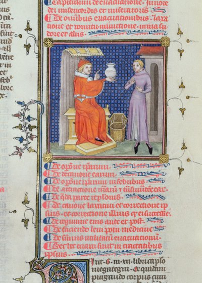 Ms 126 fol.200v En læge, der udfører en urinanalyse, fra et manuskript af Rhazes (Ibn Zakariya) (860-c.923) af French School
