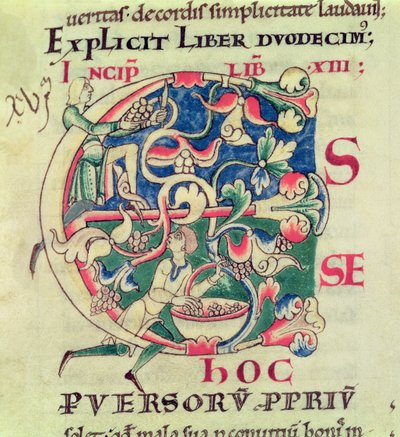Ms 173 f.32 Historikert initial E, der viser druehøsten, fra Moralia i Job af pave Gregor den Store af French School