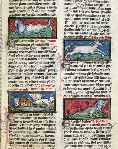 MS 320 Fol.115r Sea Monsters, fra 