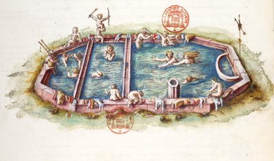 Ms 3243 The Baths of Nerys at Neris-les-Bains, illustration fra 